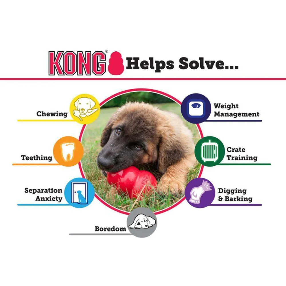 New Classic Supplies Leashes, Collars, Beds, Flea & Tick, Etc. | Toys Interactive, Plush, Etc.