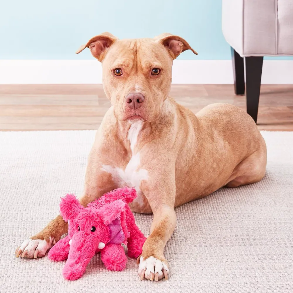 Best Cozie Elmer Elephant Dog Toy Supplies Leashes, Collars, Beds, Flea & Tick, Etc. | Toys Interactive, Plush, Etc.