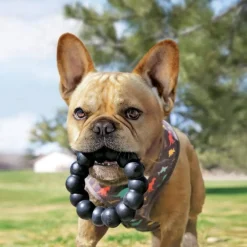 Sale Dog Extreme Ring Supplies Leashes, Collars, Beds, Flea & Tick, Etc. | Toys Interactive, Plush, Etc.