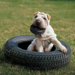 Sale Dog Extreme Tires Supplies Leashes, Collars, Beds, Flea & Tick, Etc. | Toys Interactive, Plush, Etc.