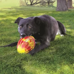 Sale Dog Flexball Sports Football Medium Supplies Leashes, Collars, Beds, Flea & Tick, Etc. | Toys Interactive, Plush, Etc.