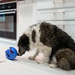 Hot Dog Rewards Wrapz Supplies Leashes, Collars, Beds, Flea & Tick, Etc. | Toys Interactive, Plush, Etc.