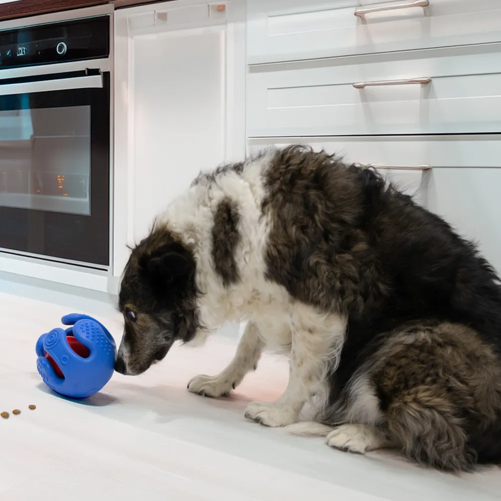 Hot Dog Rewards Wrapz Supplies Leashes, Collars, Beds, Flea & Tick, Etc. | Toys Interactive, Plush, Etc.