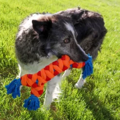 Best Dog Rope Rally Bone Supplies Leashes, Collars, Beds, Flea & Tick, Etc. | Toys Interactive, Plush, Etc.
