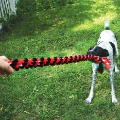 Online Dog Signature Rope Dual Knot Supplies Leashes, Collars, Beds, Flea & Tick, Etc. | Toys Interactive, Plush, Etc.