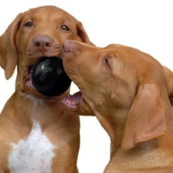 Clearance Extreme Ball Supplies Leashes, Collars, Beds, Flea & Tick, Etc. | Toys Interactive, Plush, Etc.