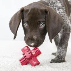 Discount Jump'N Jack Supplies Leashes, Collars, Beds, Flea & Tick, Etc. | Toys Interactive, Plush, Etc.
