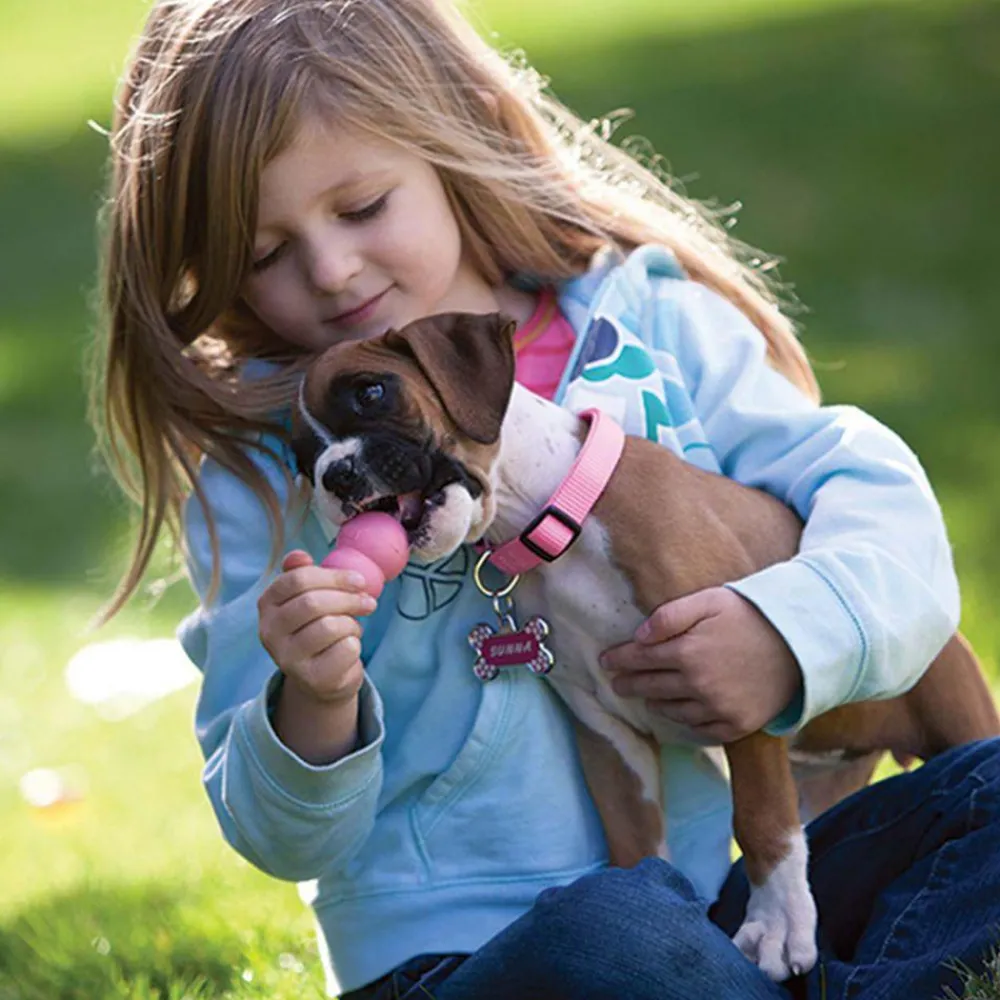 Online Puppy Supplies Leashes, Collars, Beds, Flea & Tick, Etc. | Toys Interactive, Plush, Etc.