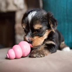 Online Puppy Supplies Leashes, Collars, Beds, Flea & Tick, Etc. | Toys Interactive, Plush, Etc.