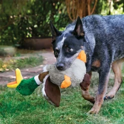 Discount Shakers Honkers Duck Dog Toy Supplies Leashes, Collars, Beds, Flea & Tick, Etc. | Toys Interactive, Plush, Etc.