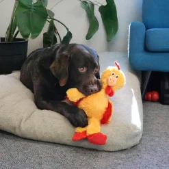 Hot Wild Knots Chicken Dog Toy Supplies Leashes, Collars, Beds, Flea & Tick, Etc. | Toys Interactive, Plush, Etc.