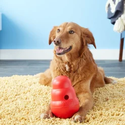 Best Wobbler Dog Toy Supplies Leashes, Collars, Beds, Flea & Tick, Etc. | Toys Interactive, Plush, Etc.