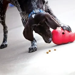 Best Wobbler Dog Toy Supplies Leashes, Collars, Beds, Flea & Tick, Etc. | Toys Interactive, Plush, Etc.