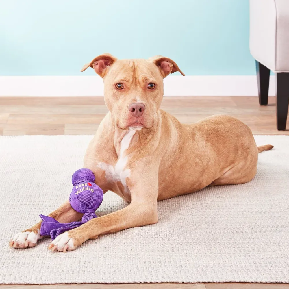 Hot Wubba Classic Dog Toy Colour Varies Supplies Leashes, Collars, Beds, Flea & Tick, Etc. | Toys Interactive, Plush, Etc.