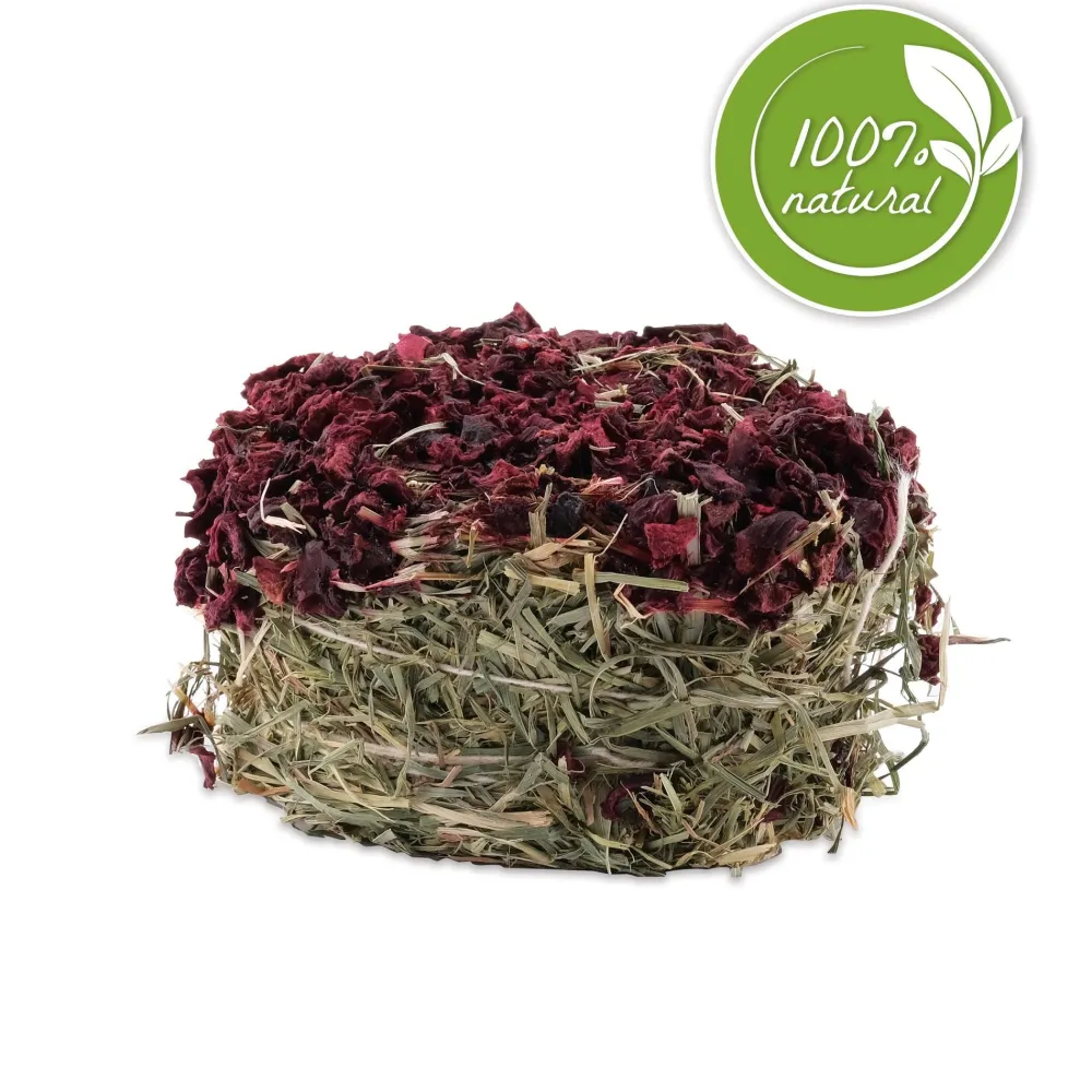 Best Green Botanicals Hay Cake Beet Shop Small Animal Find All Of The Essentials