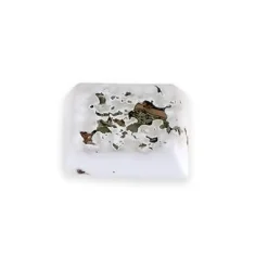 New Small Animal Mineral Block Dandelion Shop Small Animal Find All Of The Essentials