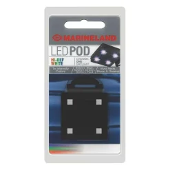 Fashion LED POD High Definition White Light Shop Fish Find All Of The Essentials