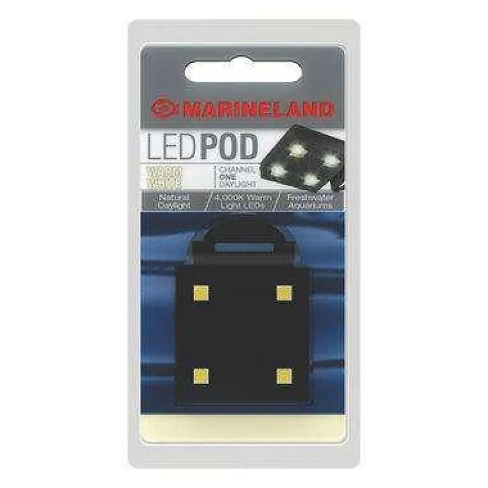 New LED POD Warm White Light Shop Fish Find All Of The Essentials
