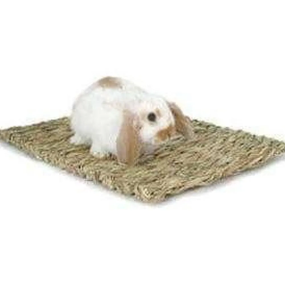 Online Rabbit Woven Grass Mat Shop Small Animal Find All Of The Essentials