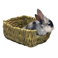 Outlet Rabbit Woven Grass Pet Bed Shop Small Animal Find All Of The Essentials