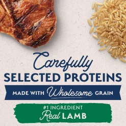 Sale Limited Ingredient Large Breed Lamb & Rice Dog Food Food Dry, Wet, Freeze Dried, Etc.