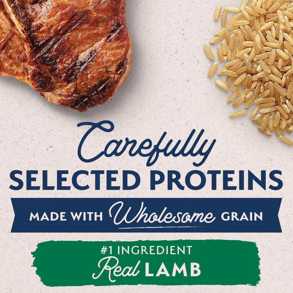 Hot Limited Ingredient Diet Lamb Meal & Rice Dog Food Food Dry, Wet, Freeze Dried, Etc.