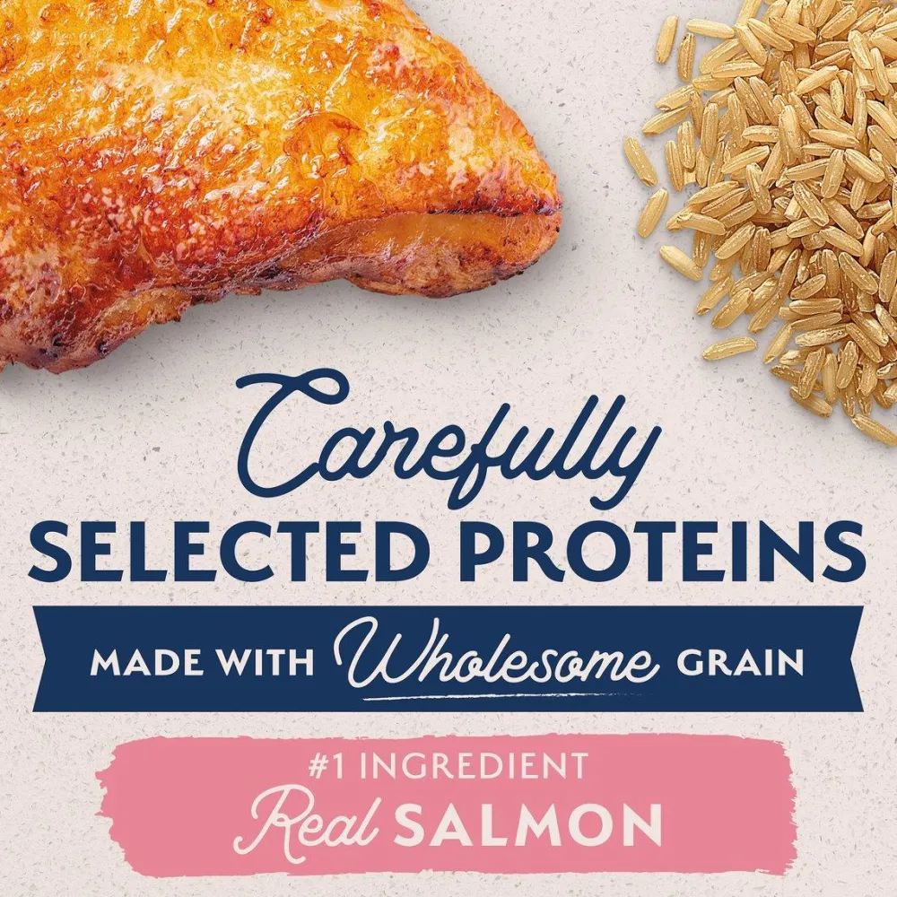 Fashion Limited Ingredient Diet Adult Dry Dog Food with Healthy Grains Salmon Food Dry, Wet, Freeze Dried, Etc.