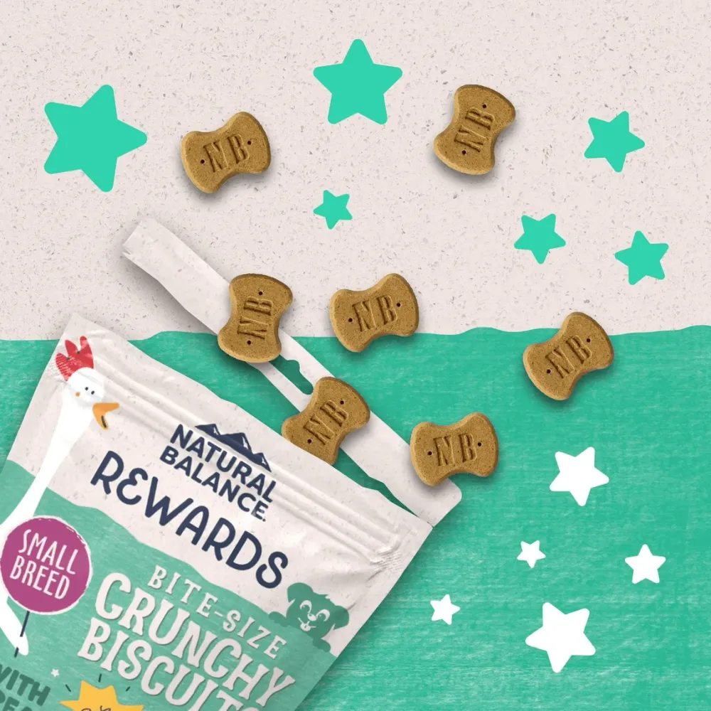 Best Rewards Crunchy Biscuits With Real Chicken Dog Treats Treats Treats & Chews
