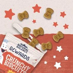 Sale Rewards Crunchy Biscuits With Real Salmon Dog Treats Treats Treats & Chews