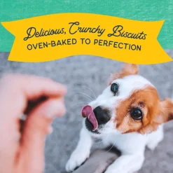 Best Rewards Crunchy Biscuits With Real Chicken Dog Treats Treats Treats & Chews