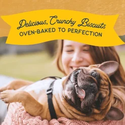 Sale Rewards Crunchy Biscuits With Real Duck Dog Treats Treats Treats & Chews