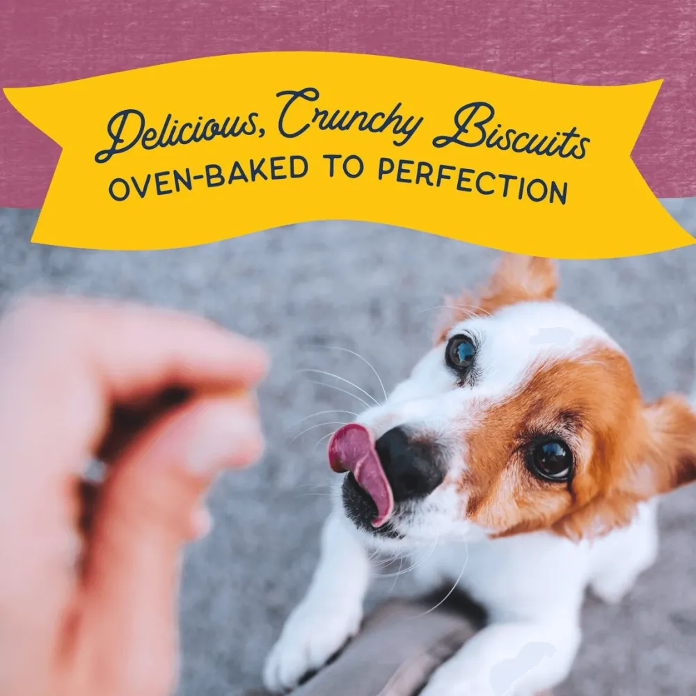 Sale Rewards Crunchy Biscuits Real Venison Dog Treats Treats Treats & Chews