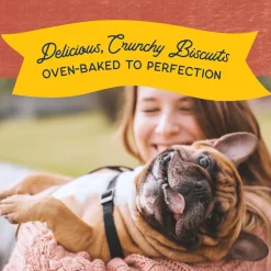 Sale Rewards Crunchy Biscuits With Real Salmon Dog Treats Treats Treats & Chews