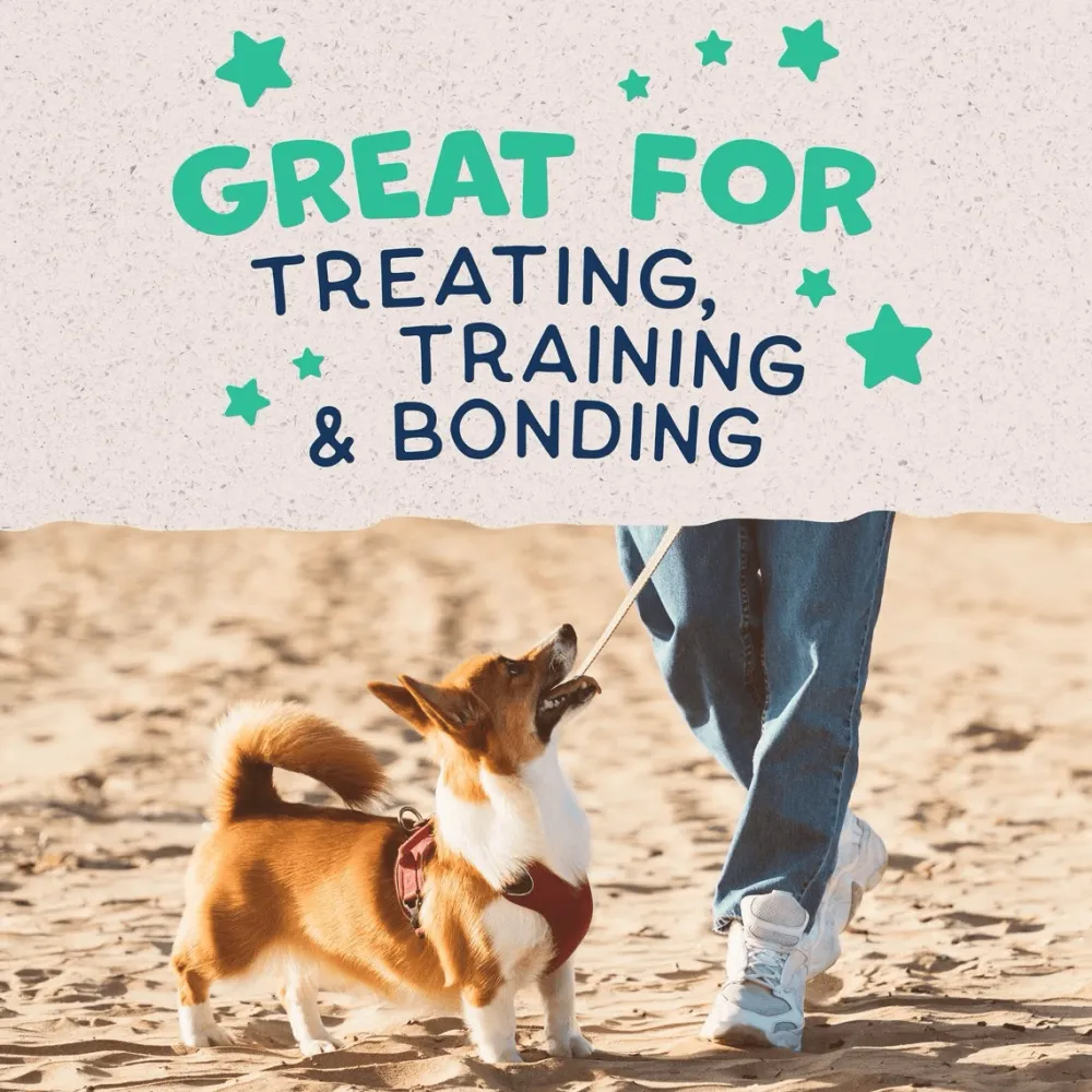 Best Rewards Crunchy Biscuits With Real Chicken Dog Treats Treats Treats & Chews