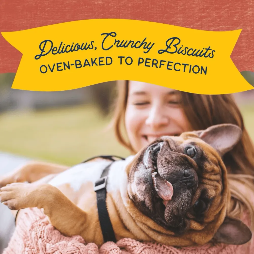 Sale Rewards Crunchy Biscuits With Real Salmon Dog Treats Treats Treats & Chews