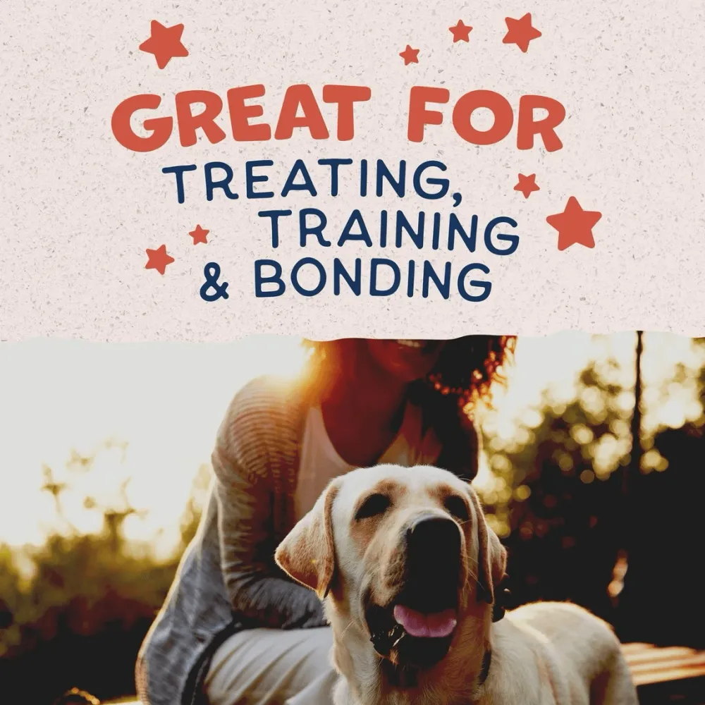 Sale Rewards Crunchy Biscuits With Real Salmon Dog Treats Treats Treats & Chews