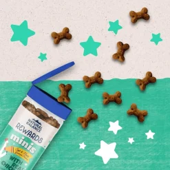 Best Rewards Minis with Real Chicken Dog Treats Treats Treats & Chews