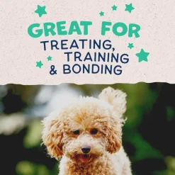Best Rewards Minis with Real Chicken Dog Treats Treats Treats & Chews