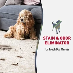 Outlet Advanced Dog Stain & Odor Foam Supplies Leashes, Collars, Beds, Flea & Tick, Etc.
