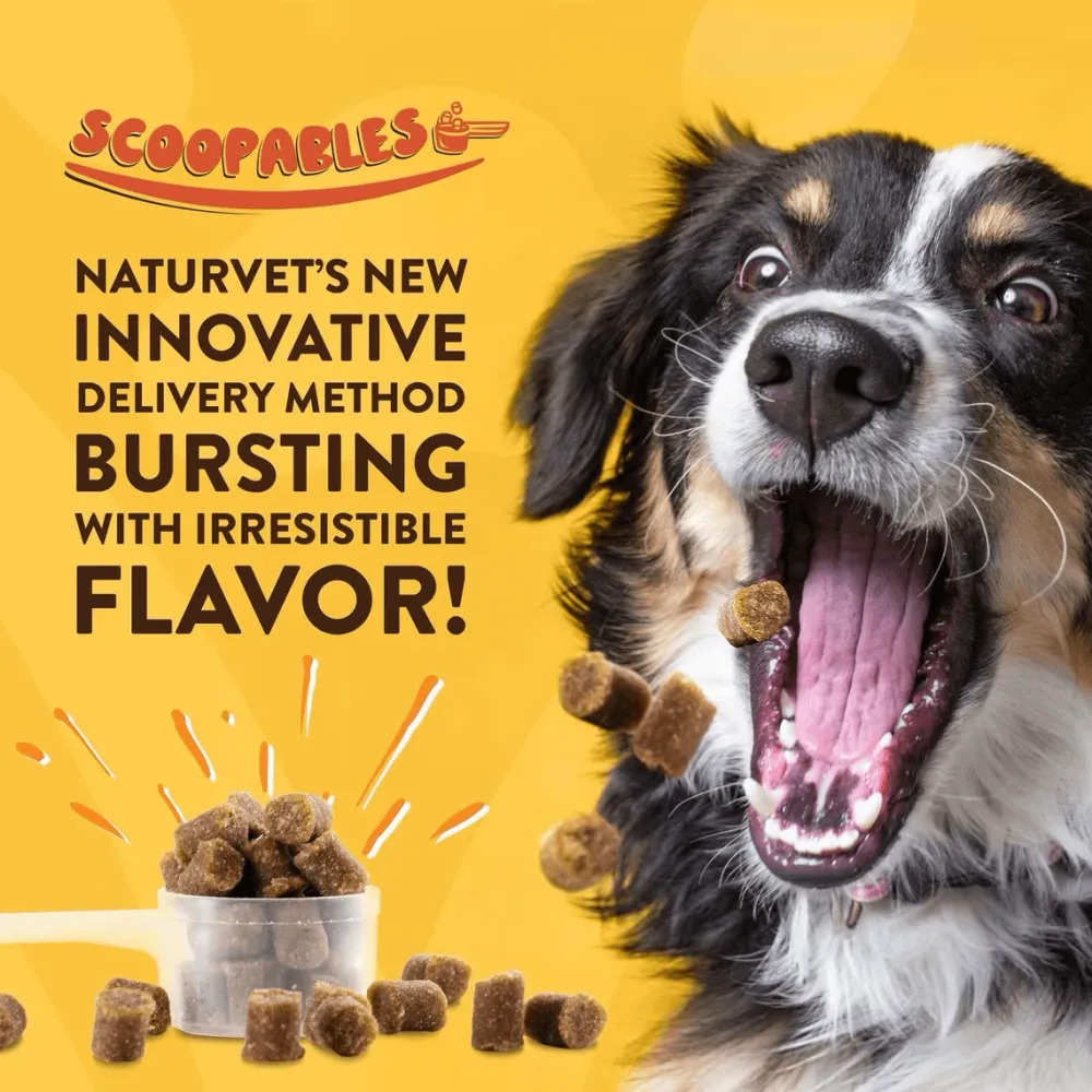 Clearance Dog Advanced Probiotics & Enzymes Supplies Leashes, Collars, Beds, Flea & Tick, Etc.