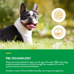 Clearance Dog Advanced Probiotics & Enzymes Supplies Leashes, Collars, Beds, Flea & Tick, Etc.