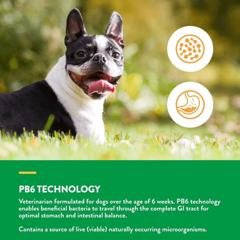 Clearance Dog Advanced Probiotics & Enzymes Supplies Leashes, Collars, Beds, Flea & Tick, Etc.
