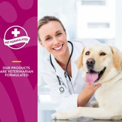 Online Scoopables Glucosamine DS Plus Level 2 Moderate Joint Care Dog Supplement Supplies Leashes, Collars, Beds, Flea & Tick, Etc.