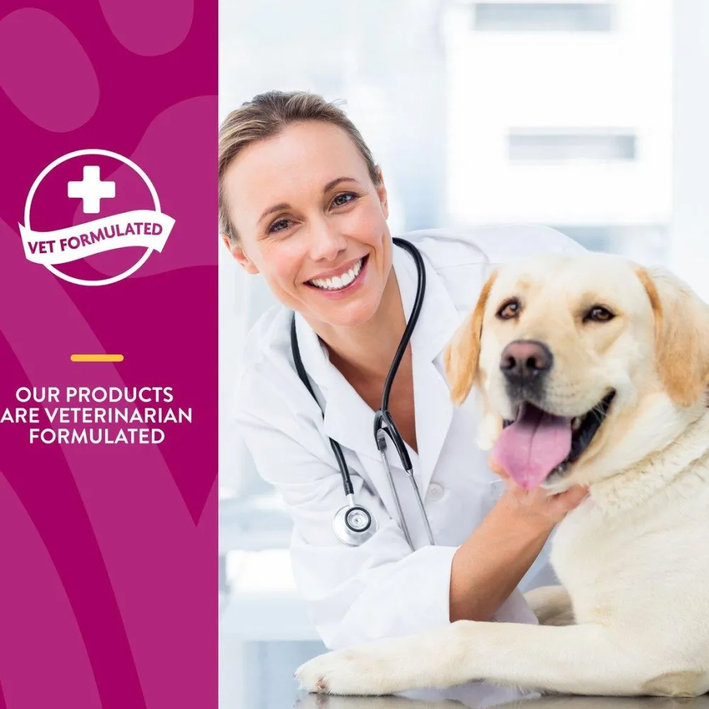 Online Scoopables Glucosamine DS Plus Level 2 Moderate Joint Care Dog Supplement Supplies Leashes, Collars, Beds, Flea & Tick, Etc.