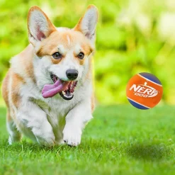 Sale Puppy & Small Dog TPR Ball Dog Toy Supplies Leashes, Collars, Beds, Flea & Tick, Etc. | Toys Interactive, Plush, Etc.