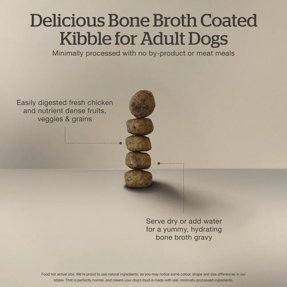 Online Good Gravy Salmon Coated in Bone Broth for Dogs Food Dry, Wet, Freeze Dried, Etc.