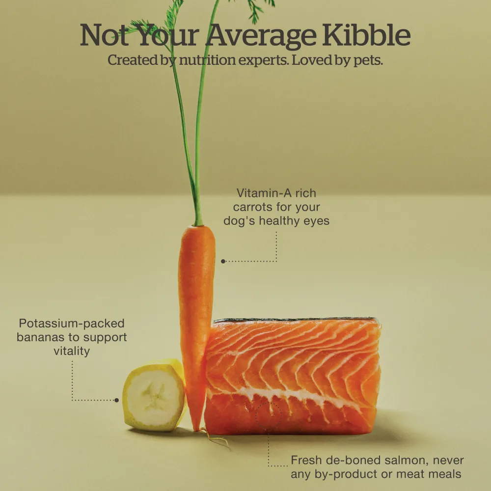 Online Good Gravy Salmon Coated in Bone Broth for Dogs Food Dry, Wet, Freeze Dried, Etc.
