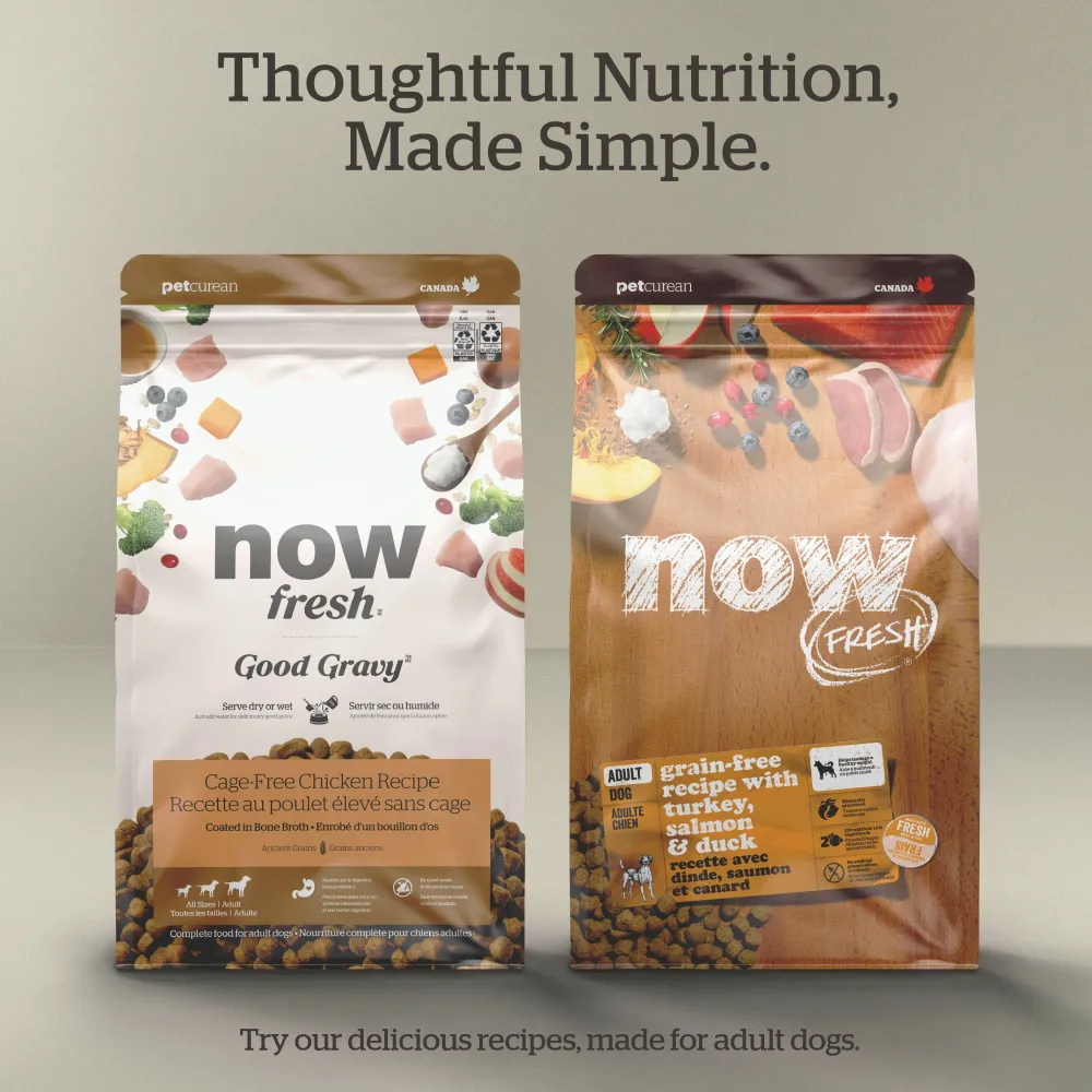 Online Good Gravy Salmon Coated in Bone Broth for Dogs Food Dry, Wet, Freeze Dried, Etc.