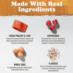 Sale Grain Free Large Breed Puppy Turkey, Salmon, & Duck Recipe Food Dry, Wet, Freeze Dried, Etc.
