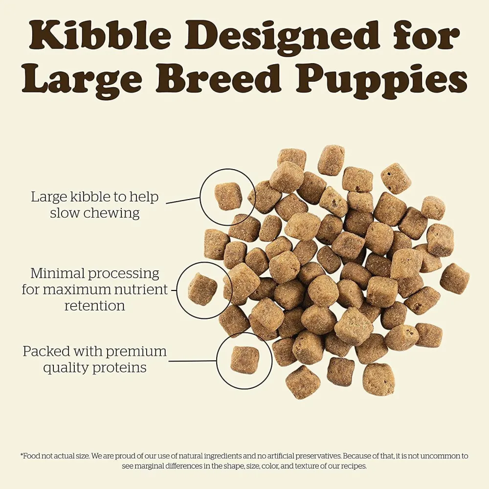 Sale Grain Free Large Breed Puppy Turkey, Salmon, & Duck Recipe Food Dry, Wet, Freeze Dried, Etc.